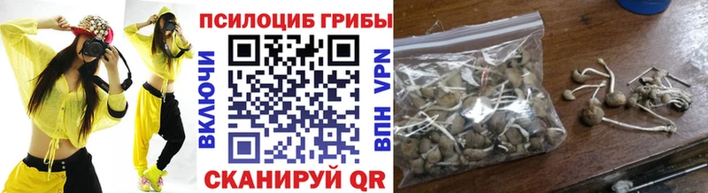 Галлюциногенные грибы Psilocybe Выкса